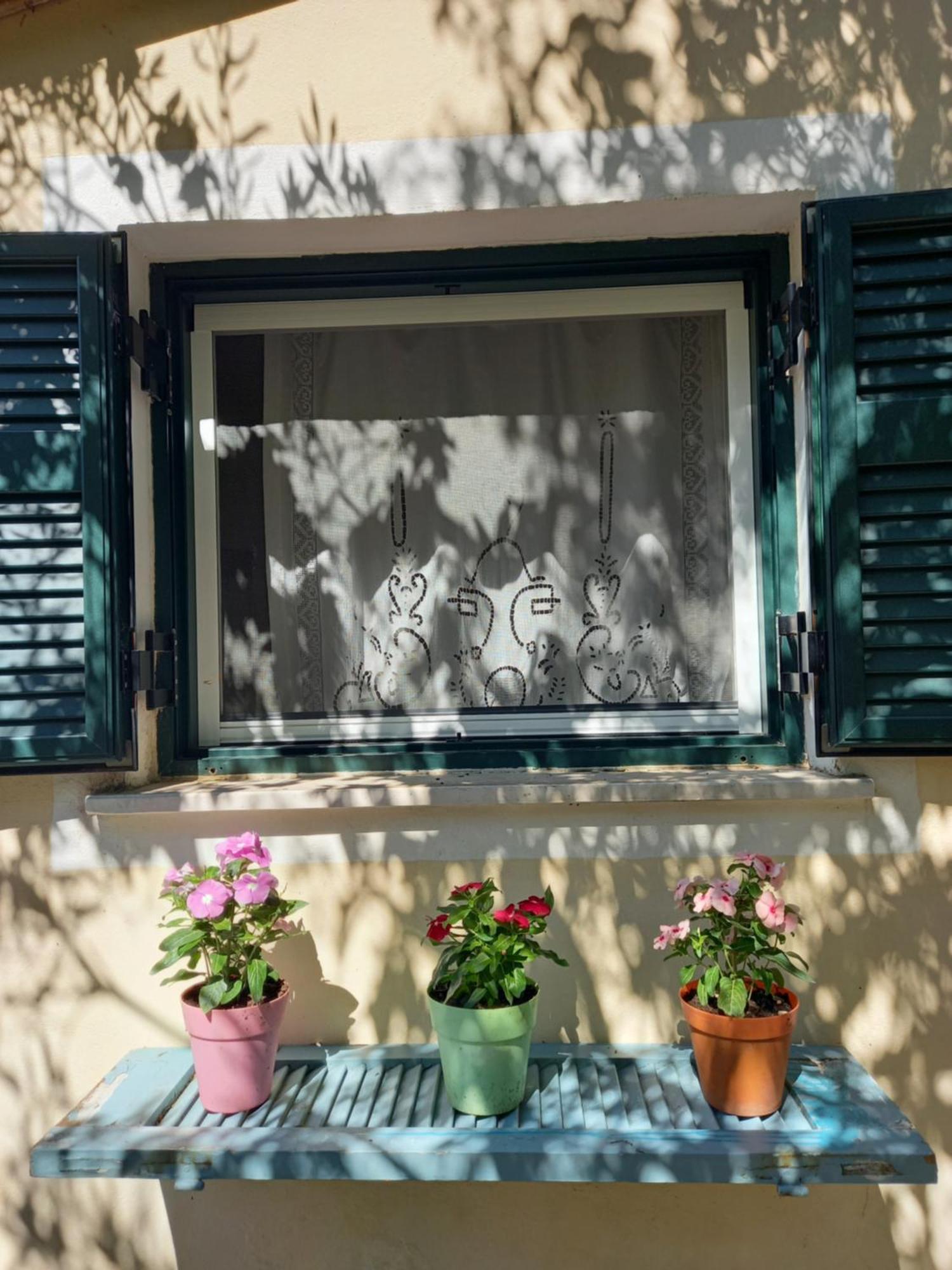 Casa Natasa Apartment Ozias Bilik gambar